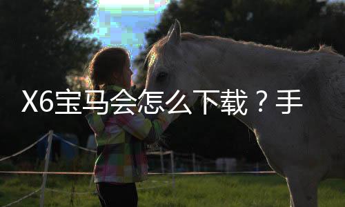 X6宝马会怎么下载？手把手教你快速安装畅玩攻略