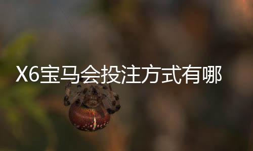 X6宝马会投注方式有哪些？详解热门玩法与技巧