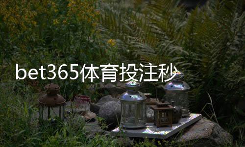 bet365体育投注秒到账吗？充值与提现到账速度全解析