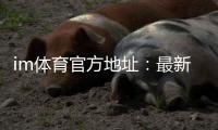 im体育官方地址：最新官网入口及安全投注指南