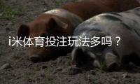 i米体育投注玩法多吗？平台玩法种类全解析与新手投注攻略