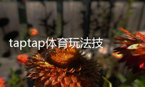 taptap体育玩法技巧:新手入门与进阶实战攻略